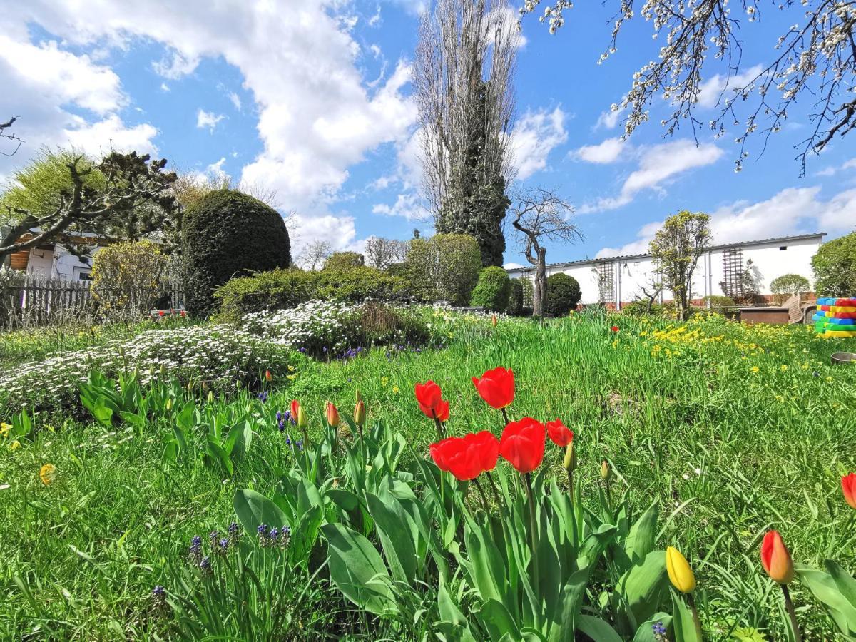 ארפורט Bohnapartments Ega Stadtblick - Garten - Wlan - Naehe Theater Ega Und Messe מראה חיצוני תמונה